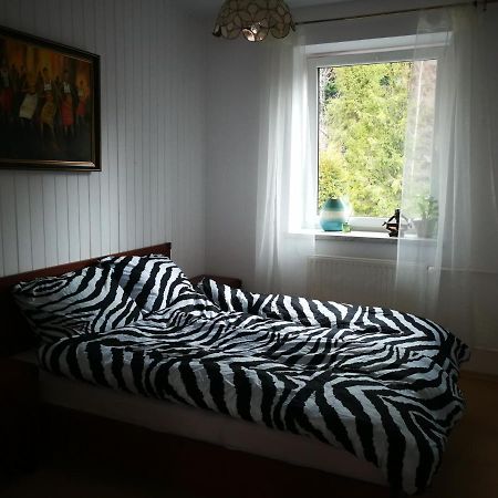 Szczyrk Mountainski Apartament Екстер'єр фото
